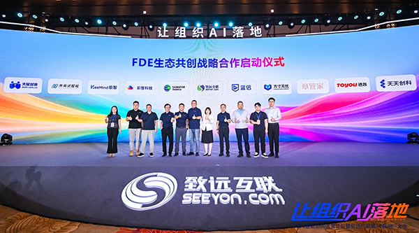 南宫NG28建设，FDE